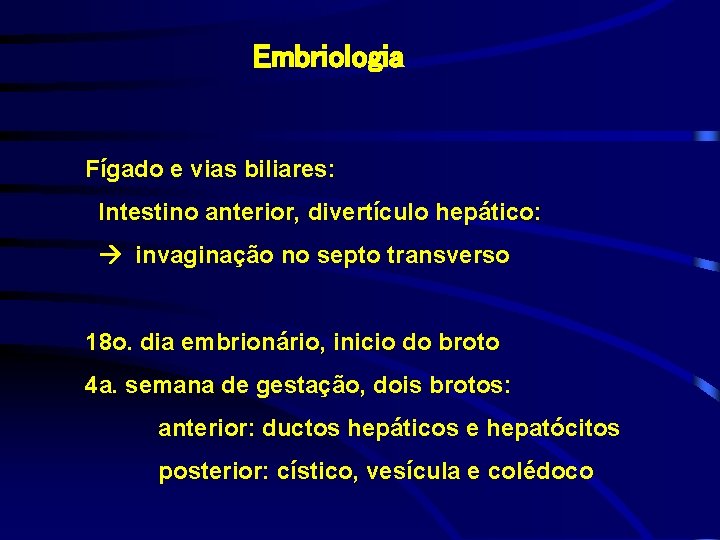 Embriologia Fígado e vias biliares: Intestino anterior, divertículo hepático: invaginação no septo transverso 18