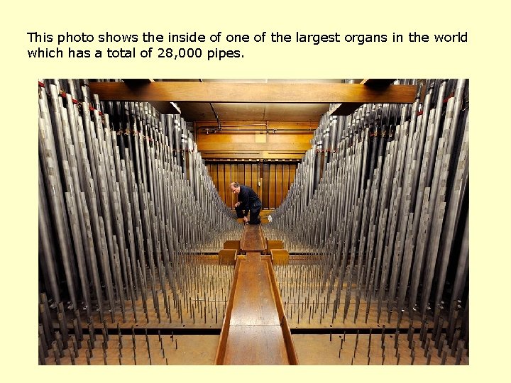 This photo shows the inside of one of the largest organs in the world