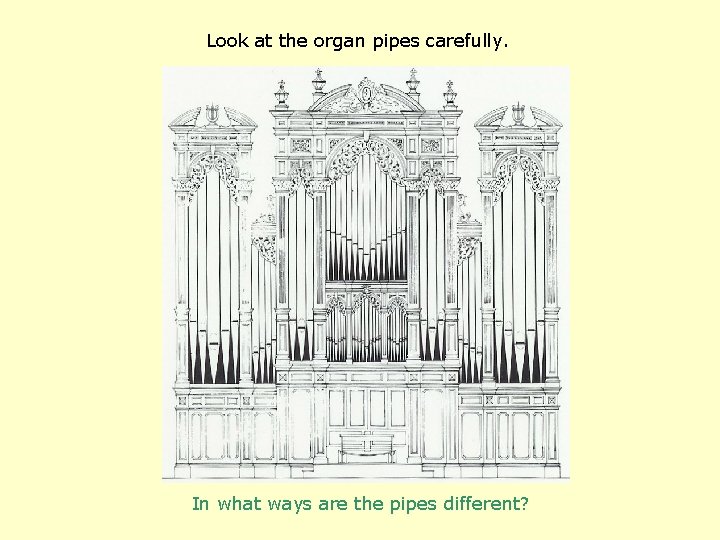 Look at the organ pipes carefully. In what ways are the pipes different? 