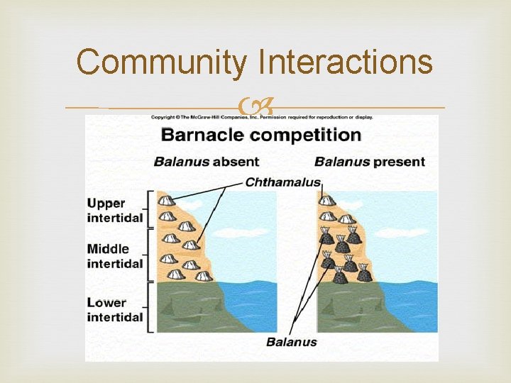 Community Interactions Community Interactions