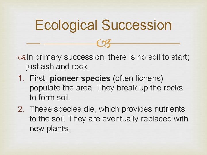 Ecological Succession In primary succession, there is no soil to start; just ash and