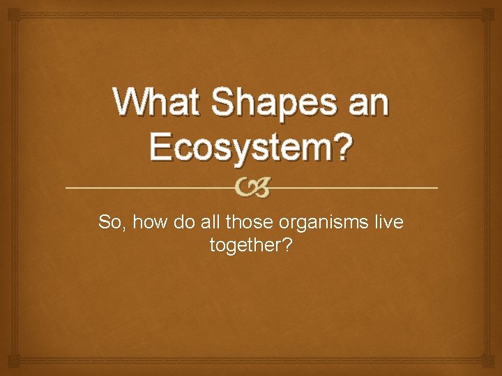 What Shapes an Ecosystem? So, how do all those organisms live together? What Shapes an Ecosystem? So, how do all those organisms live together?