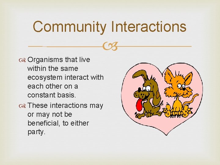 Community Interactions Organisms that live within the same ecosystem interact with each other on