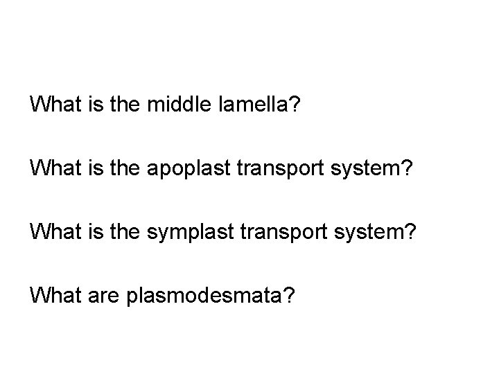 What is the middle lamella? What is the apoplast transport system? What is the