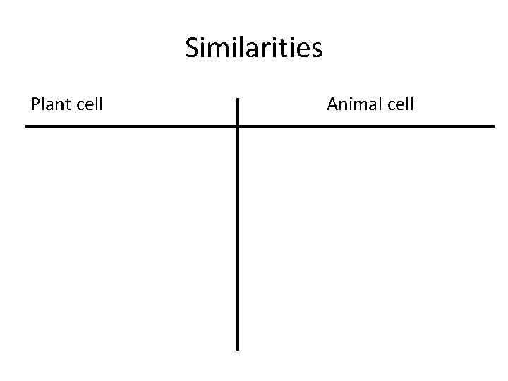 Similarities Plant cell Animal cell 