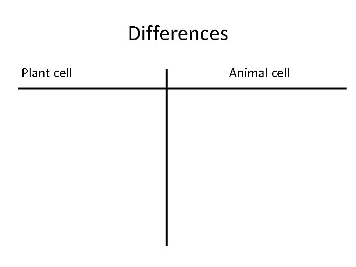 Differences Plant cell Animal cell 