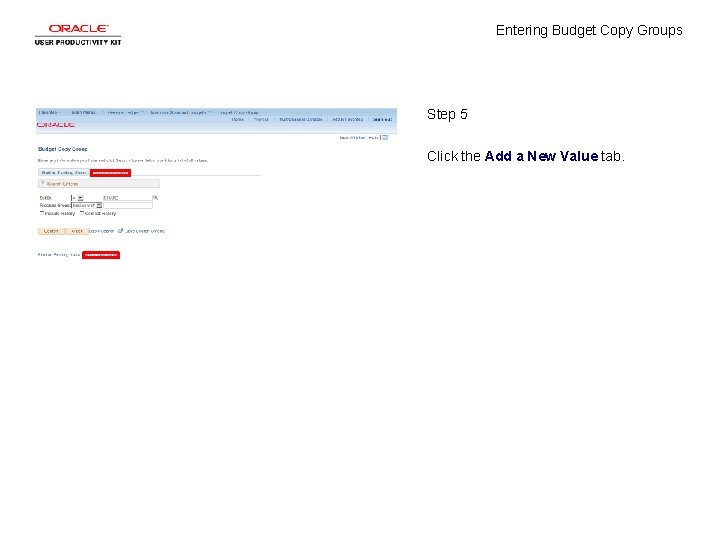 Entering Budget Copy Groups Step 5 Click the Add a New Value tab. 