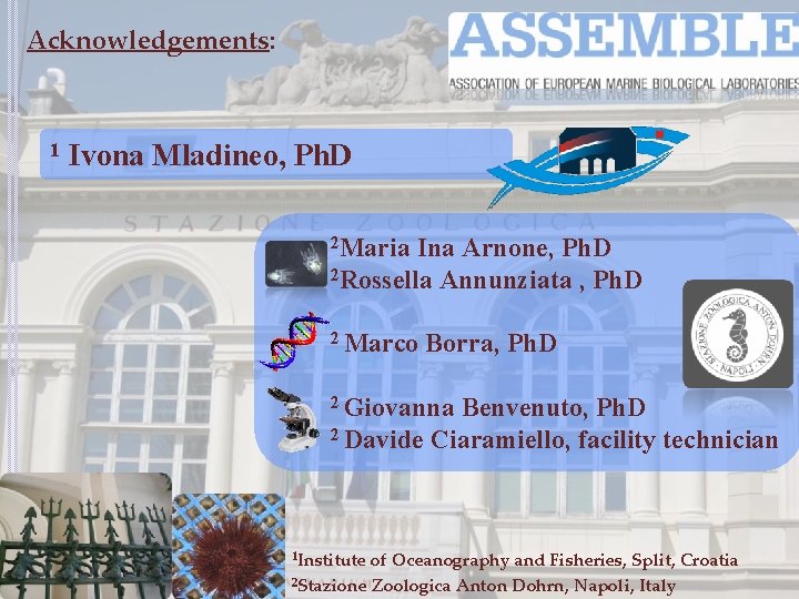 Acknowledgements: 1 Ivona Mladineo, Ph. D 2 Maria Ina Arnone, Ph. D 2 Rossella