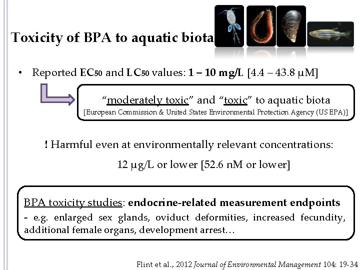 Toxicity of BPA to aquatic biota • Reported EC 50 and LC 50 values: