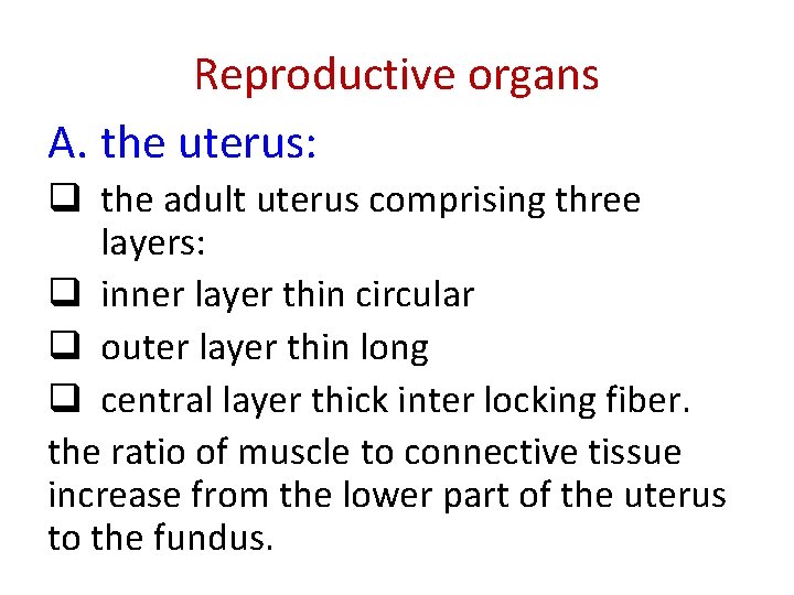 Reproductive organs A. the uterus: q the adult uterus comprising three layers: q inner