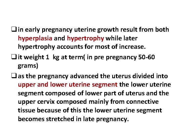 q in early pregnancy uterine growth result from both hyperplasia and hypertrophy while later