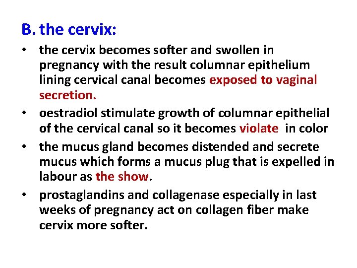 B. the cervix: • the cervix becomes softer and swollen in pregnancy with the