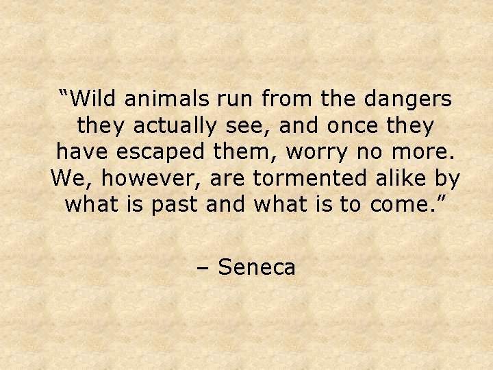 “Wild animals run from the dangers they actually see, and once they have escaped