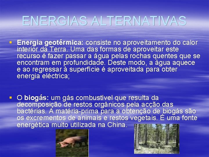 ENERGIAS ALTERNATIVAS § Energia geotérmica: consiste no aproveitamento do calor interior da Terra. Uma