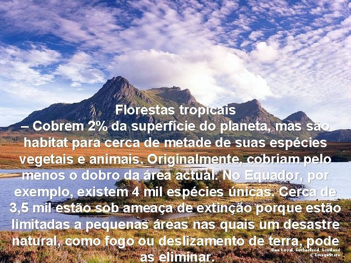 Florestas tropicais – Cobrem 2% da superfície do planeta, mas são habitat para cerca