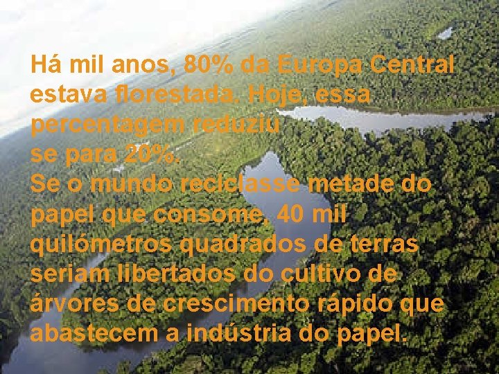 Há mil anos, 80% da Europa Central estava florestada. Hoje, essa percentagem reduziu se