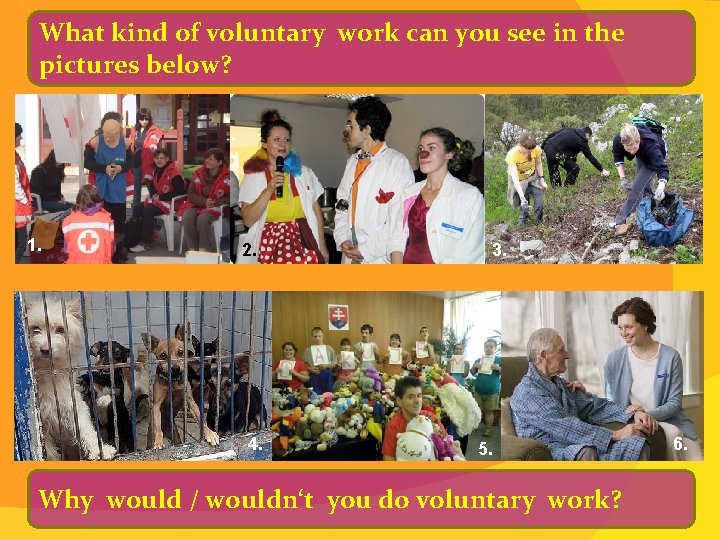 What kind of voluntary work can you see in the pictures below? 1. 2.