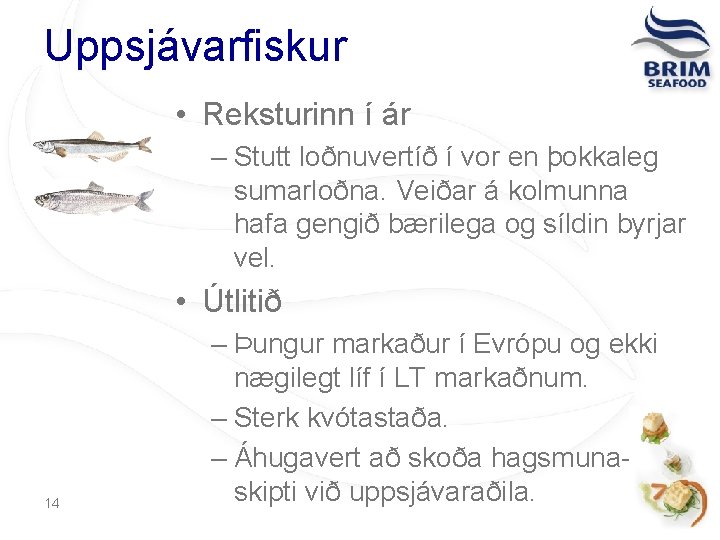 Uppsjávarfiskur • Reksturinn í ár – Stutt loðnuvertíð í vor en þokkaleg sumarloðna. Veiðar