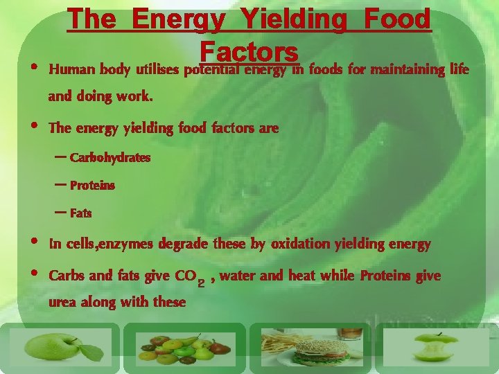 The Energy Yielding Food Factors • Human body utilises potential energy in foods for