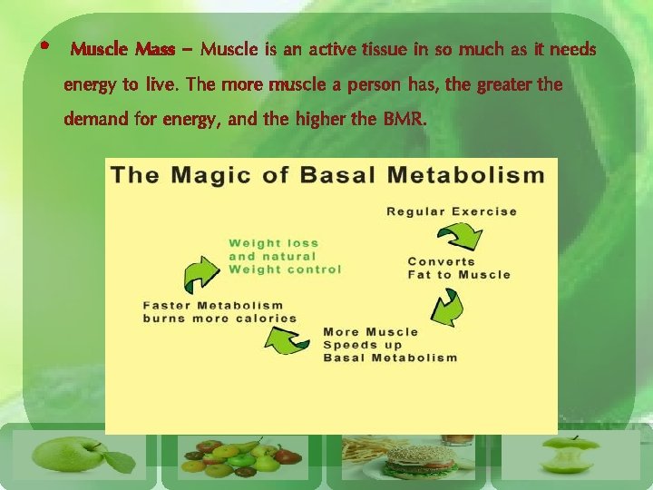  • Muscle Mass - Muscle is an active tissue in so much as