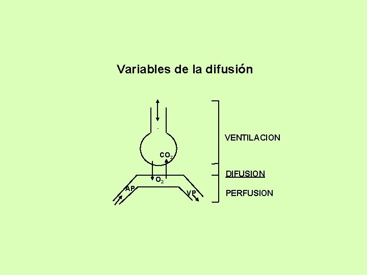 Variables de la difusión VENTILACION CO 2 DIFUSION O 2 AP VP PERFUSION 