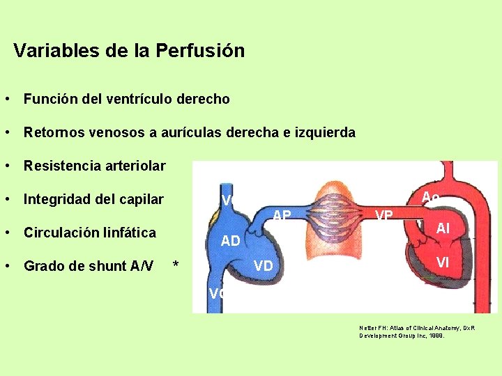 Variables de la Perfusión • Función del ventrículo derecho • Retornos venosos a aurículas