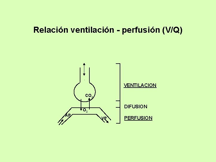 Relación ventilación - perfusión (V/Q) VENTILACION CO 2 DIFUSION O 2 AP VP PERFUSION