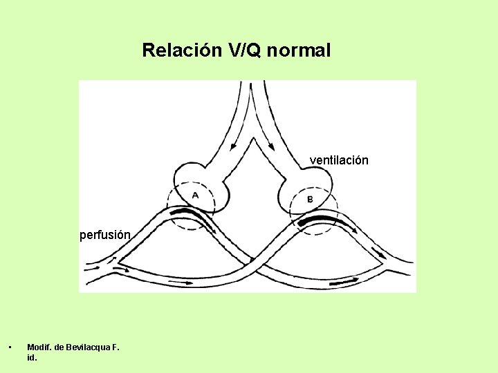 Relación V/Q normal ventilación perfusión • Modif. de Bevilacqua F. id. 