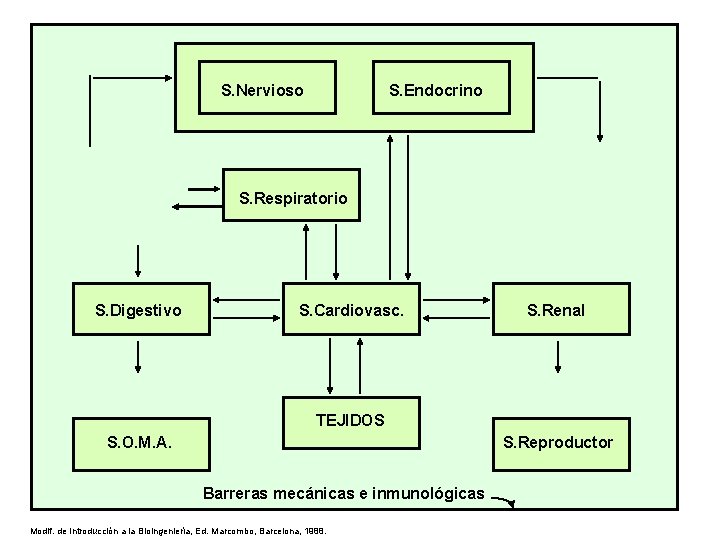 S. Nervioso S. Endocrino S. Respiratorio S. Digestivo S. Cardiovasc. S. Renal TEJIDOS S.