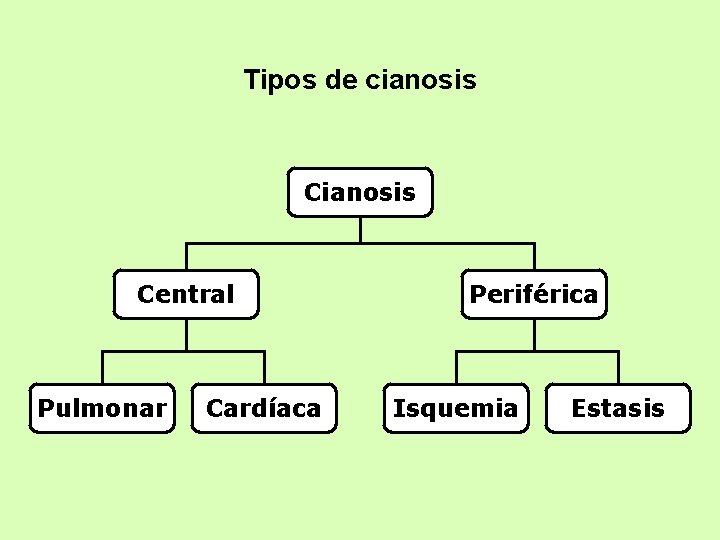 Tipos de cianosis Central Pulmonar Cardíaca Periférica Isquemia Estasis 