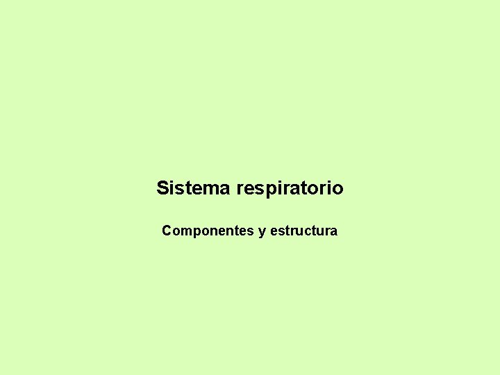 Sistema respiratorio Componentes y estructura 