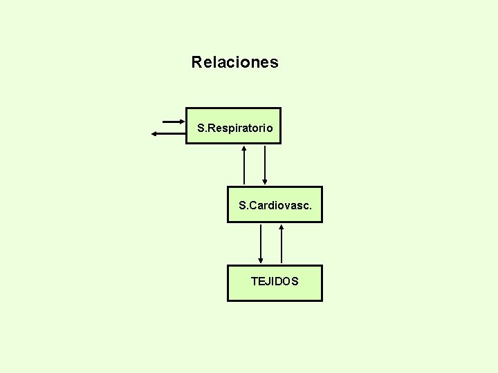 Relaciones S. Respiratorio S. Cardiovasc. TEJIDOS 
