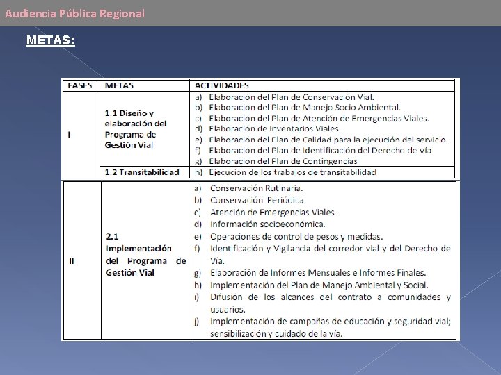 Audiencia Pública Regional METAS: 