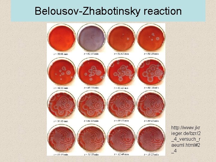 Belousov-Zhabotinsky reaction http: //www. jkr ieger. de/bzr/2 _4_versuch_r aeuml. html#2 _4 