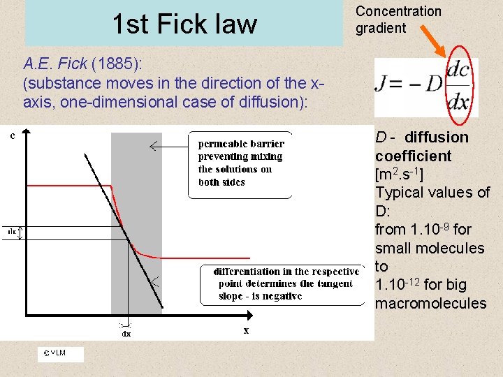 1 st Fick law Concentration gradient A. E. Fick (1885): (substance moves in the