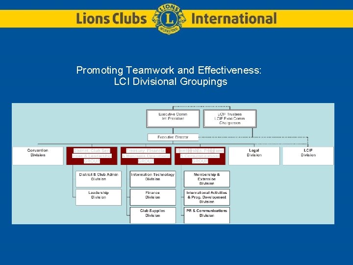 Promoting Teamwork and Effectiveness: LCI Divisional Groupings 