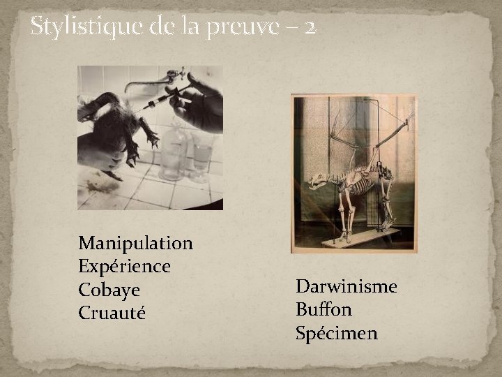 Stylistique de la preuve – 2 Manipulation Expérience Cobaye Cruauté Darwinisme Buffon Spécimen 