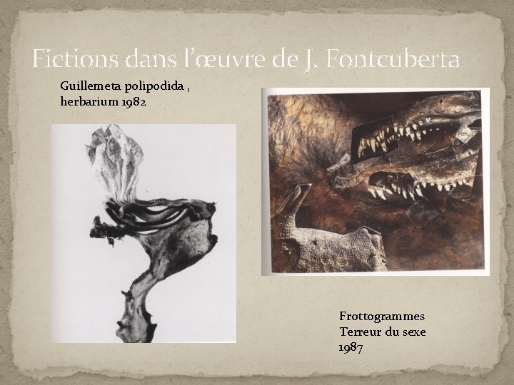 Fictions dans l’œuvre de J. Fontcuberta Guillemeta polipodida , herbarium 1982 Frottogrammes Terreur du