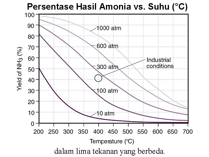 Persentase Hasil Amonia vs. Suhu (°C) dalam lima tekanan yang berbeda. 