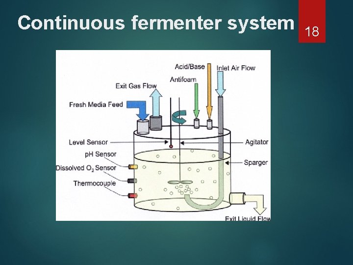 Continuous fermenter system 18 