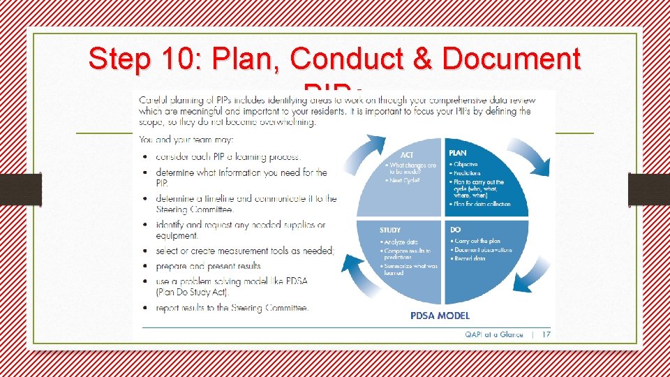 Step 10: Plan, Conduct & Document PIPs 