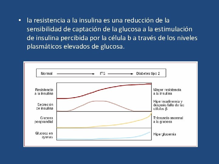  • la resistencia a la insulina es una reducción de la sensibilidad de