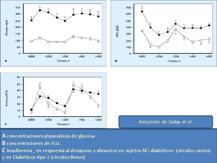 Adaptado de Golay et al. A concentraciones plasmáticas de glucosa B concentraciones de AGL