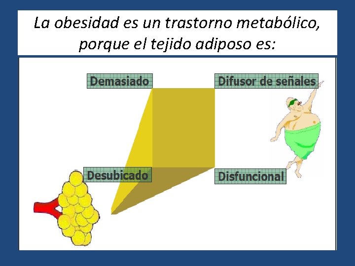 La obesidad es un trastorno metabólico, porque el tejido adiposo es: 