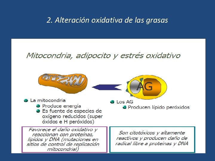 2. Alteración oxidativa de las grasas 