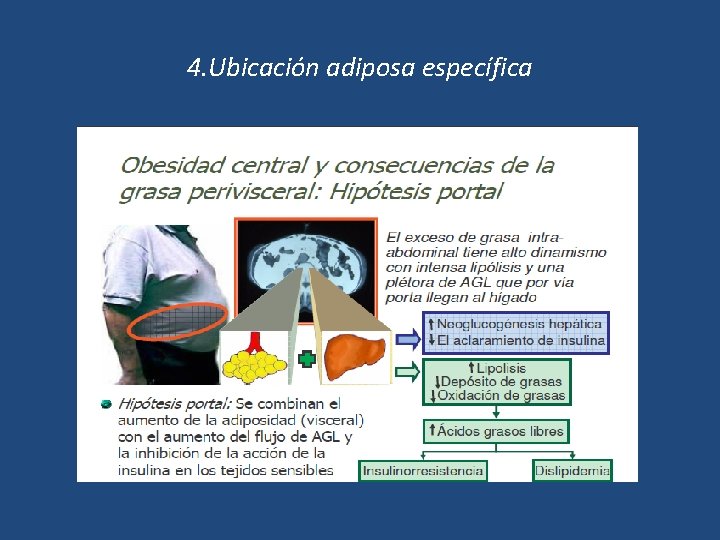 4. Ubicación adiposa específica 