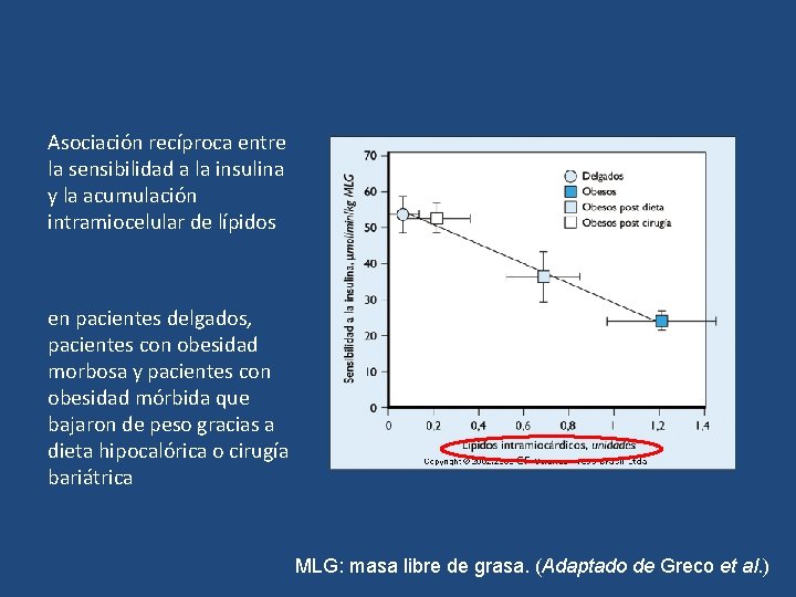 Asociación recíproca entre la sensibilidad a la insulina y la acumulación intramiocelular de lípidos