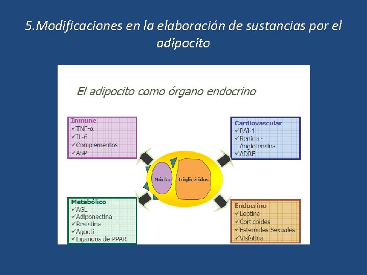 5. Modificaciones en la elaboración de sustancias por el adipocito 