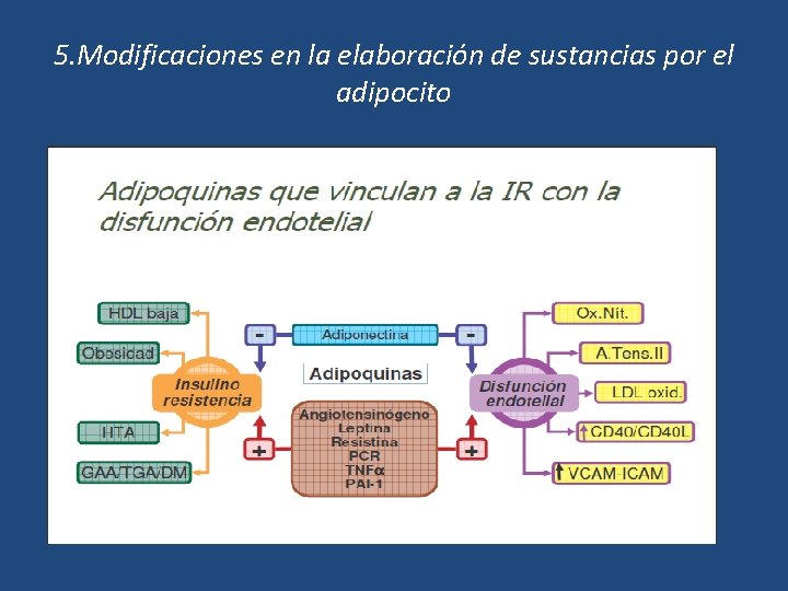 5. Modificaciones en la elaboración de sustancias por el adipocito 