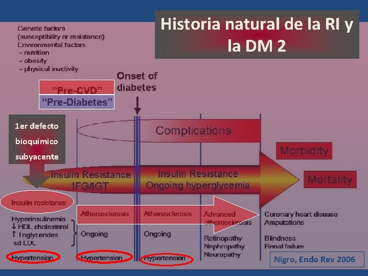 Historia natural de la RI y la DM 2 1 er defecto bioquímico subyacente